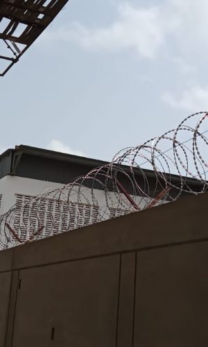 WhatsApp Image 2025-12-28 at 3.43.58 AM (1)