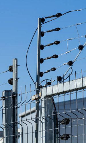 istockphoto-611772630-612x612